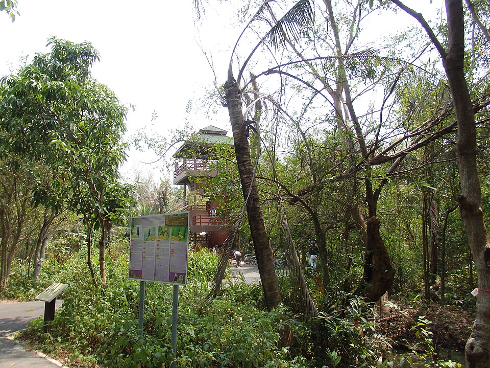 Bird-watching tower in Sri Nakhon Khuean Khan Park