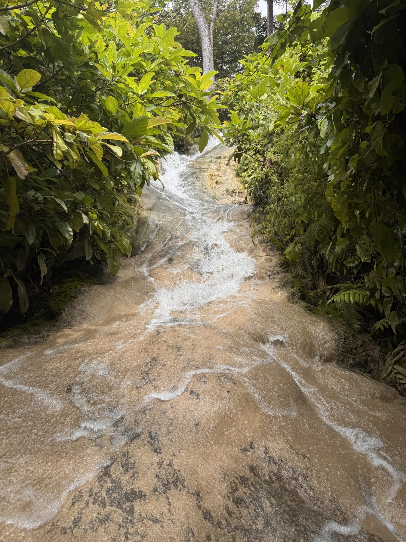 Water running over the limestone at the Bua Tong sticky waterfalls