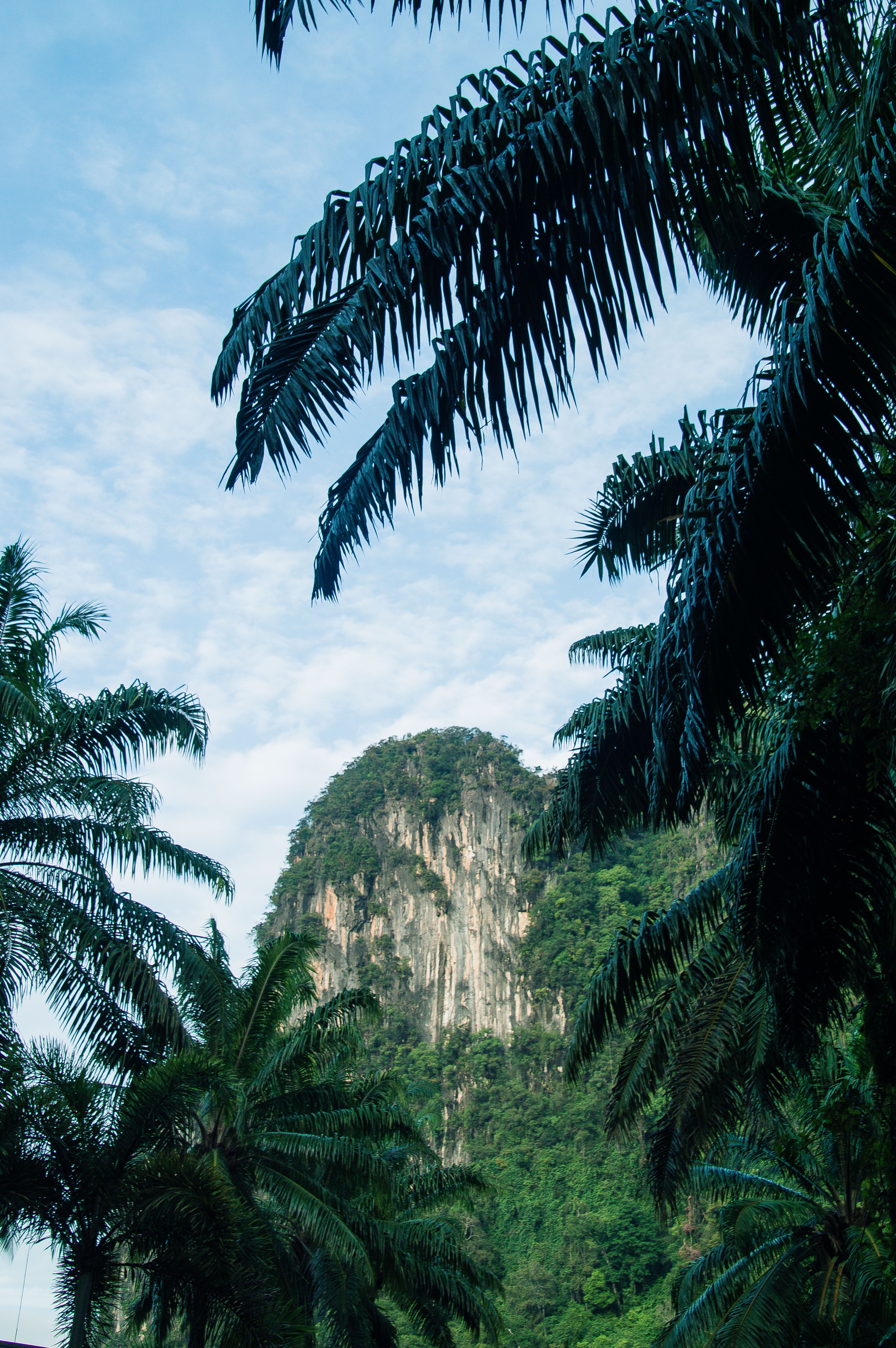 Longtail boats against the limestone karsts at Ao Nang, Krabi